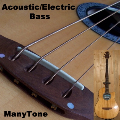 Manytone Acoustic Electric Bass